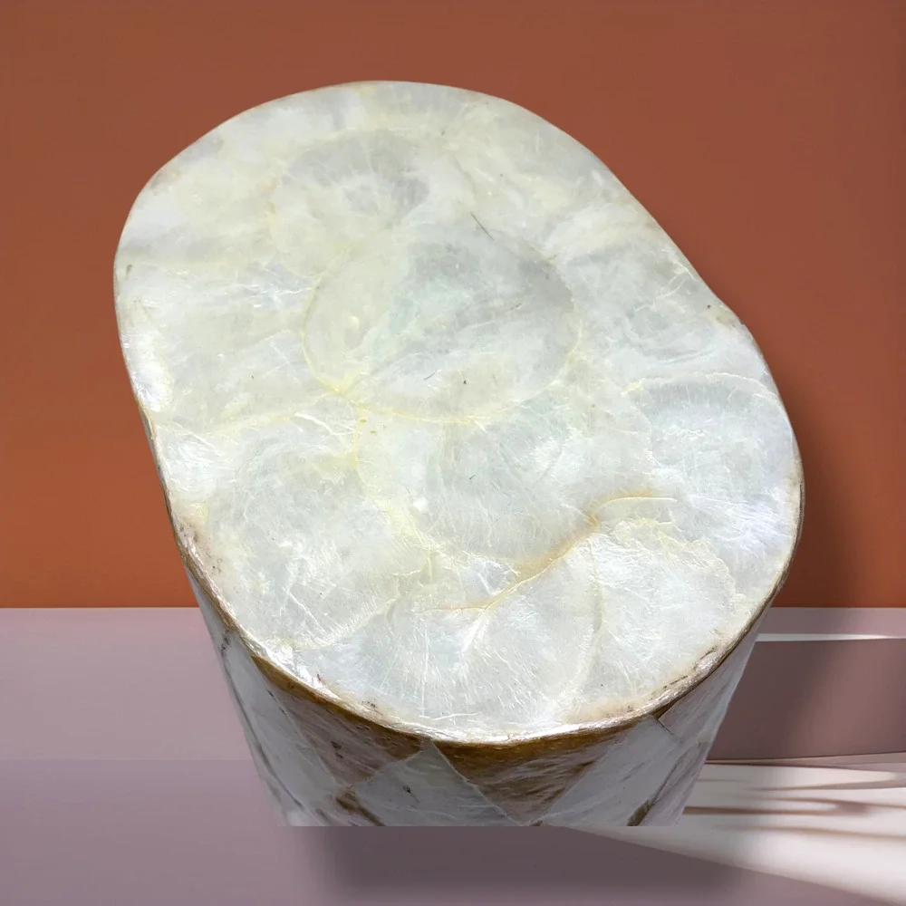 Natural Capiz Shell Harlequin Wastebasket Trash Can Coastal Organic Modern